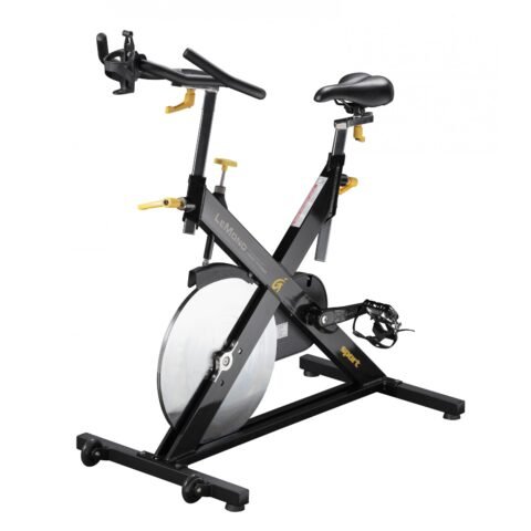 LeMond Indoor Bike RevMaster Sport